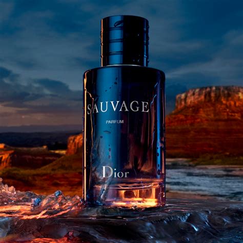 dior sauvage brown thomas|sauvage fragrance.